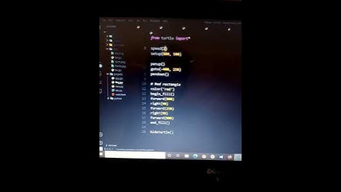 Draw Indonesian Flag in Python turtle ♥️🤗#viral #shorts #subscribe #support #python