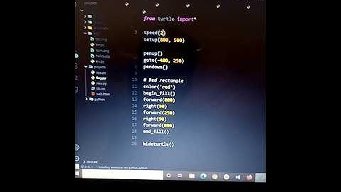 Draw Indonesian Flag in Python turtle ♥️🤗#viral #shorts #subscribe #support #python