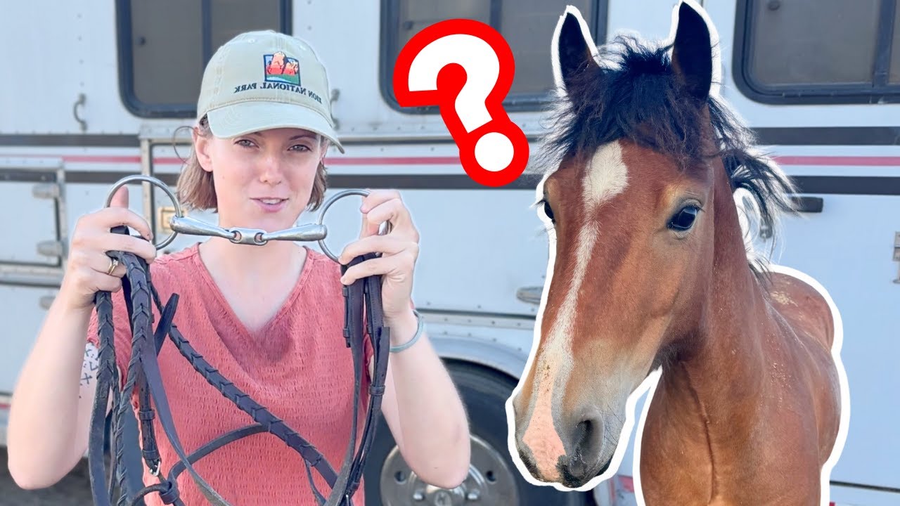 Ruach’s First Time Wearing a Bit