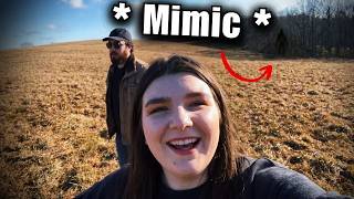 Details 10 Mimics That Were Caught On Camera And You Won't Believe It Update