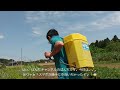 強風の中、畑に除草剤を散布！