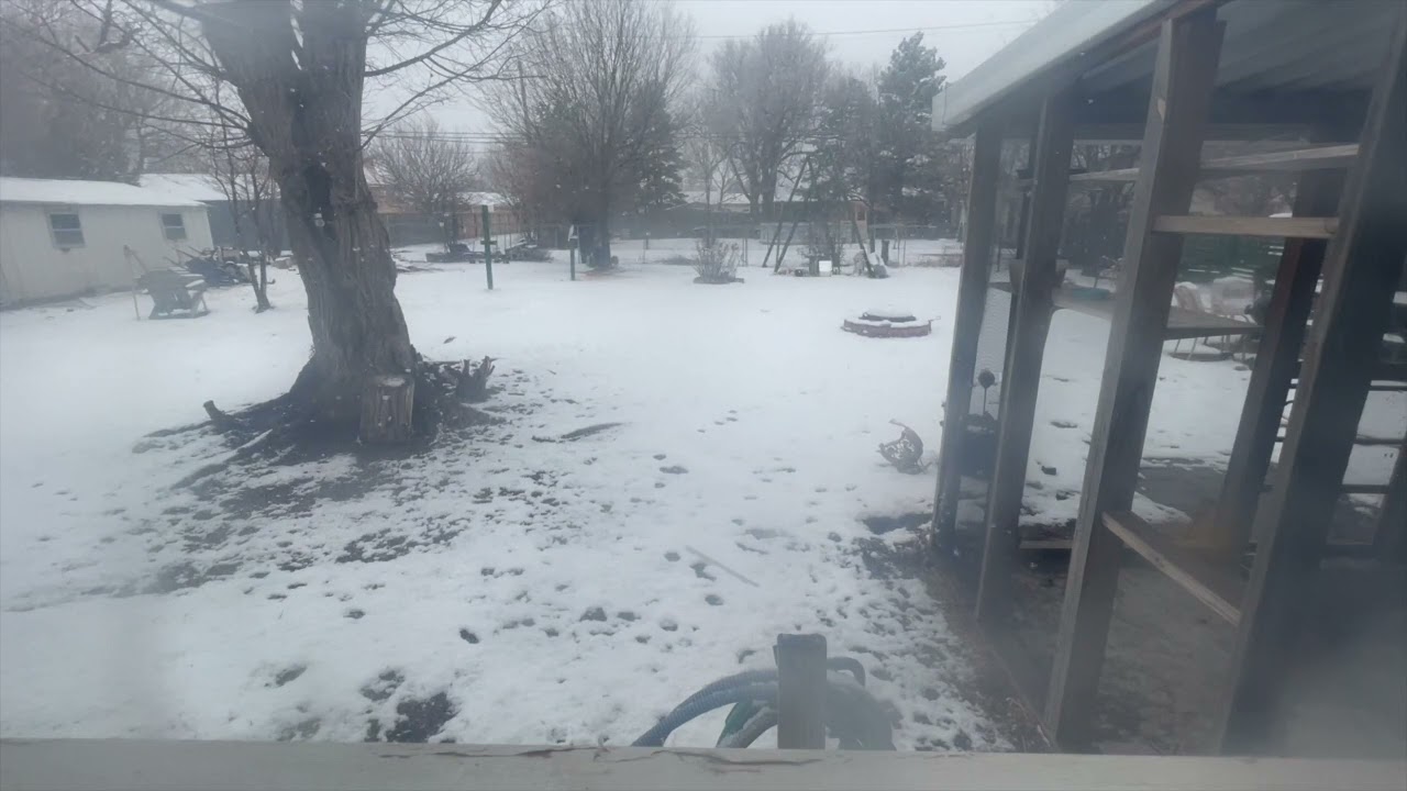 madotsukii - moon jelly / dontuluvit (music video)