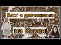 Влог из Кореи. Кидзания. Слёт блогеров ;)