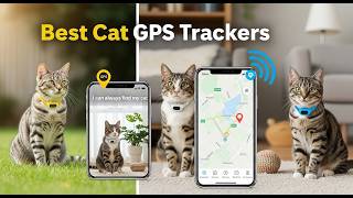 TOP 5 Best Cat Gps Trackers 2026 Never Lose Your Cat Again With These Gps Trackers