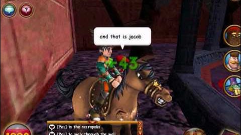 Wizard101 Cheats: Walking through walls part 2