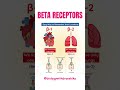 Beta Receptors – The Key Regulators of Your Heart and Lungs! #beta #receptors #hearthealth