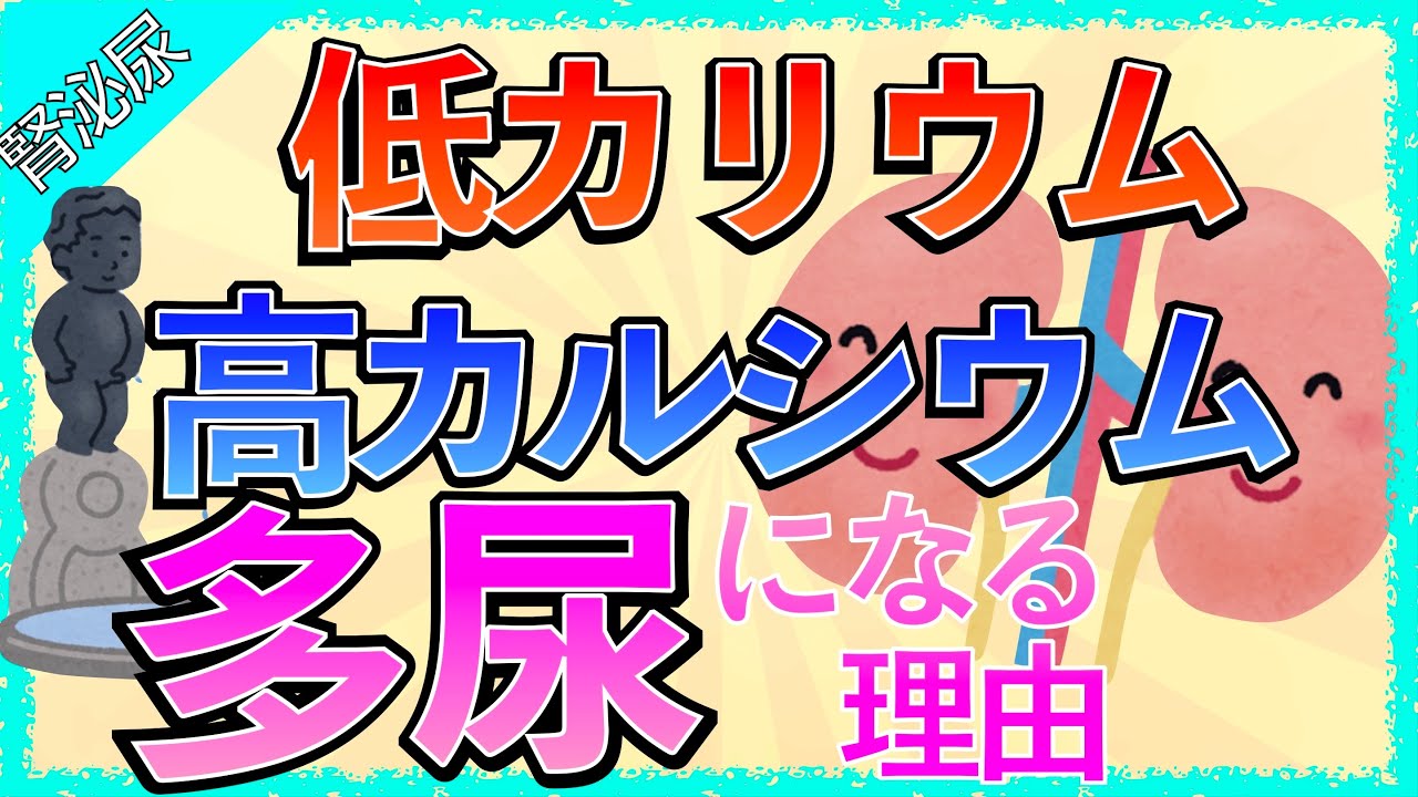 イラストで学ぶ医学！「低カリウム・高カルシウムで多尿になる理由とは？」電解質異常と多尿の関係をわかりやすく解説！