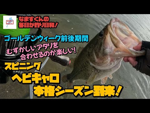 なまずくんの毎日が釣り日和! - YouTube