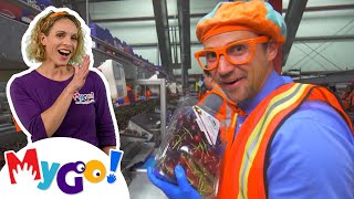 Grow Natural Cherries | Blippi | MyGo! Sign Language for Kids | Educational Videos