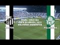 Melhores Momentos - Santos 1 x 0 Palmeiras - Copa do Brasil - 25/11/2015