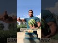 Uzbek Tayson 🍉💪🏻😱 #mma #ufc #uzb #rek #mmafighter #sports #reels #boxing