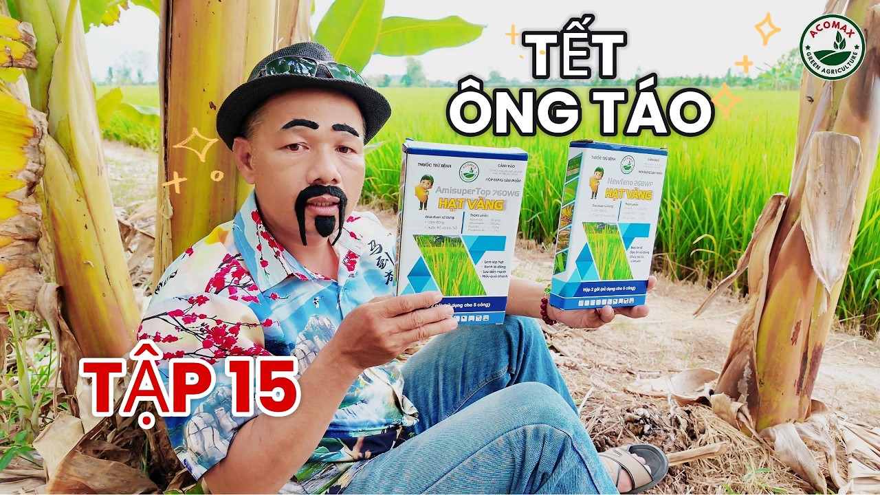 TẬP 15 | TẾT ÔNG TÁO | Bí Quyết HẠT VÀNG | HỎI XOÁY ĐÁP HAY CÙNG ACOMAX #acomax #funny #haihuoc