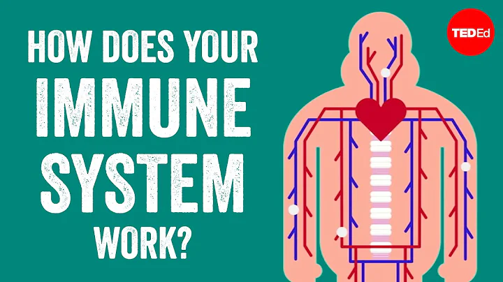 How does your immune system work? - Emma Bryce - DayDayNews