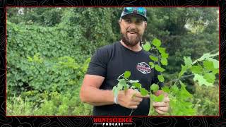HuntScience Academy - Tree ID Quick Tip for Your Property