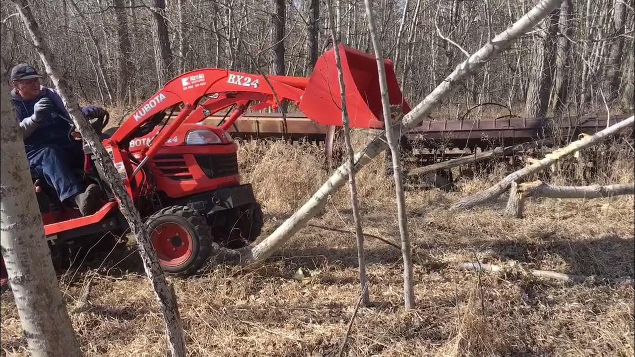 Tractor Climbing Up A Small Tree.Pushing Trees Down With Tractor YouTube