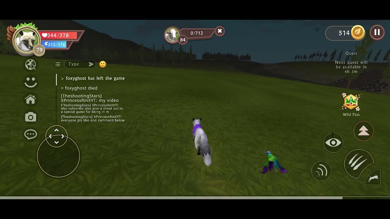 Pls no hate or will all be deleted! Also please give a shout out to Fluffyfloof for being in my vid 