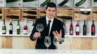 Saber elegir la copa de vino adecuada 🍇🍷 | Todo sobre el Vino | Lidl España