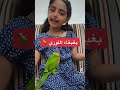 أصدقاء الحيوانات طيور بغبغاء اللوري لوري حيوانات السعودية 