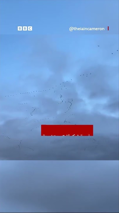          
 - نشر قبل 18 دقيقة