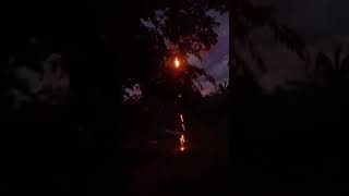 Penampakan Real Bugang.