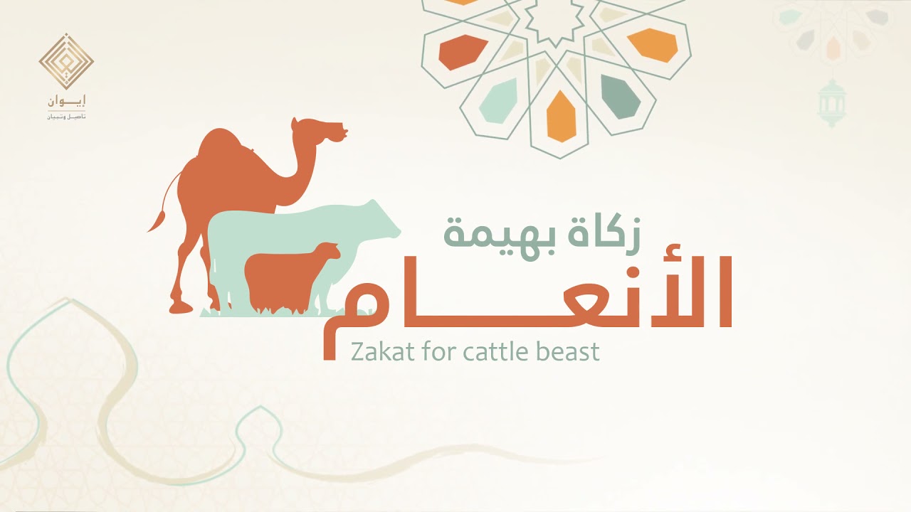 زكاة بهيمة الأنعام