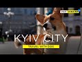 Kyiv city with dog. Golden Gate 4K / Travel with dog / Kyiv / Ukraine / Киев