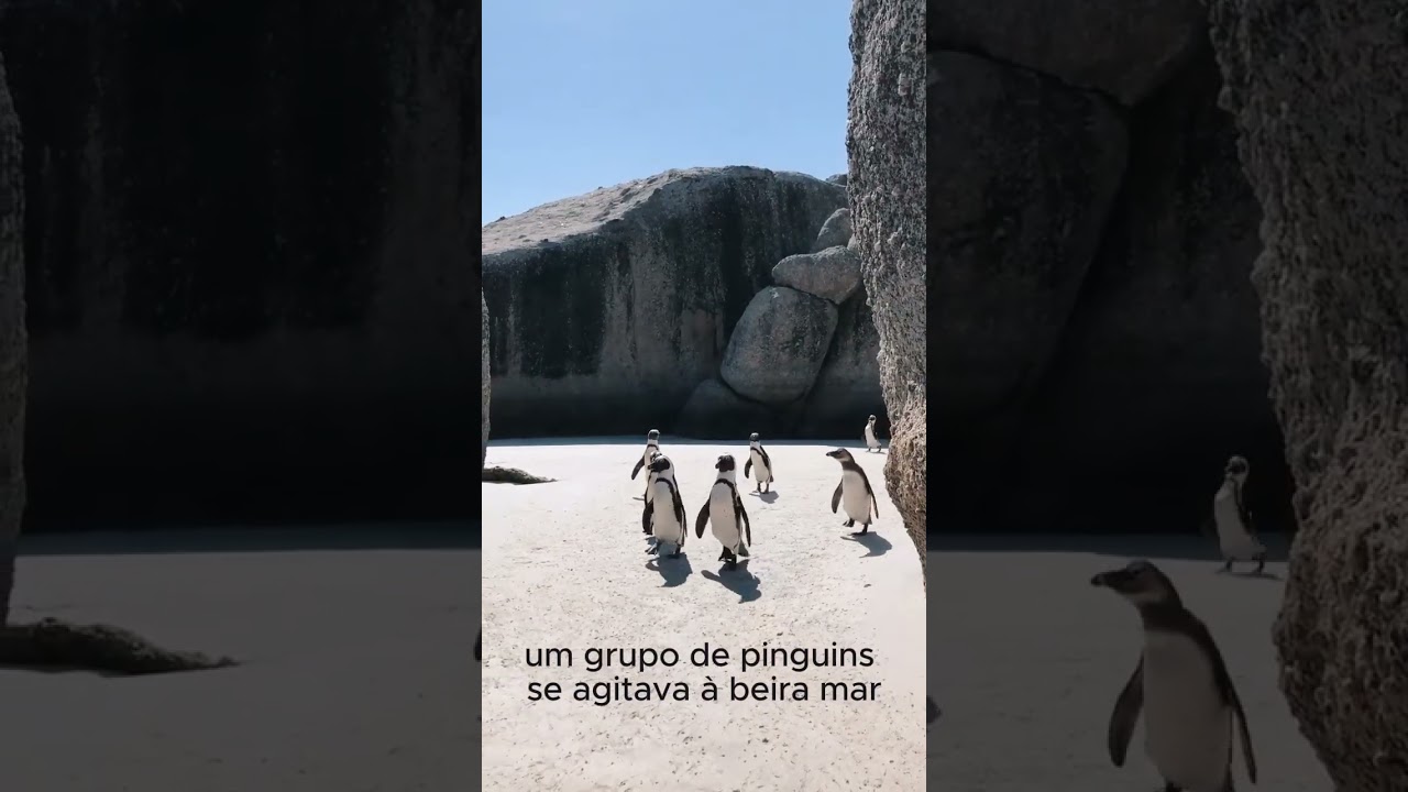 Dois pinguins tentando subir uma montanha e falhando