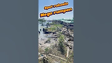 Akses spot tol bambu sayung demak #fishing #jalanyangjauhjanganlupapulang #satuklikuntukwujudkan