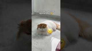 Gini Deh Kalo Content Creatornya Tukang Ngantuk, Abis Makan Siang Pun Langsung Tidurr Lagiii