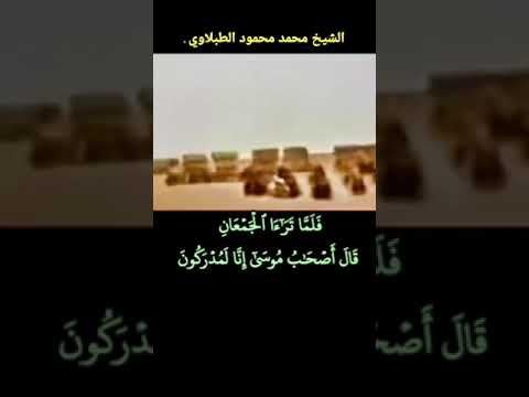 شيخ الطبلاوي سورة الشعراء فلما تراءا الجمعان قال أصحاب موسى إنا لمدركون قال كلا ان معي ربي سيهدين شيخ الطبلاوي سورة الشعراء فلما تراءا الجمعان قال أصحاب موسى إنا لمدركون قال كلا ان معي ربي سيهدين