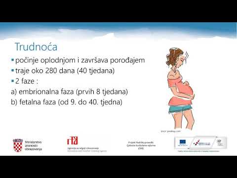 Video: Šta od navedenog formira mezoderm gastrule?