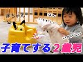 【世話好き】母性本能あふれる2歳児【年子の日常】