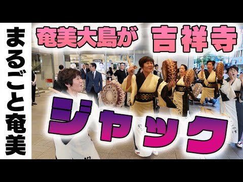 奄美大島が吉祥寺をジャック！？2024まるごと奄美in東京の舞台裏
