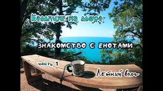 Кемпинг на море в Архипо-Осиповке/Знакомство с енотами/Влог