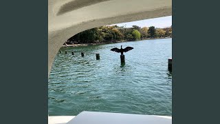 A towel blanket is peaceful (Live)