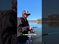 Fisherman Catches Perch, Dog Joins the Fun! #shorts
