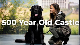 We Trained Dogs at 500-Year-Old Scottish Castles