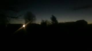 Early Birds Hampton Magna