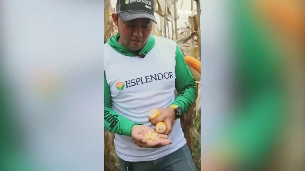Nuestras Riquezas, martes 12 de mayo 2026