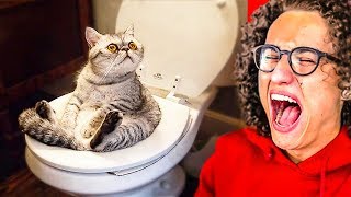 IMPOSSIBLE YOU LAUGH YOU LOSE CHALLENGE!