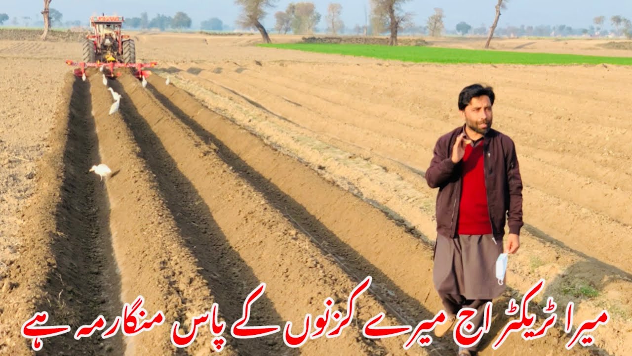 Mara Tractor/96 model 375 #mf385tractor 