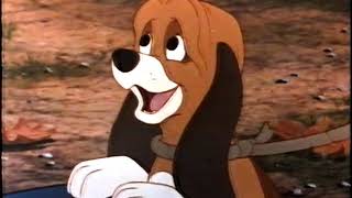 Lwt Adverts 2Nd January 1982