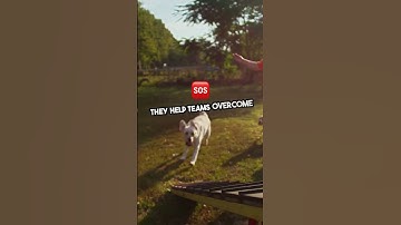 What is an RTE (Release Train Engineer)? #rte #safe #agile