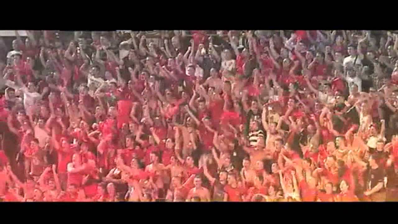 Forca SHQIPËRIA - Ema Qazimi