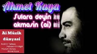 Ahmet Kaya - Sulara deyin akmasin (ai) Resimi