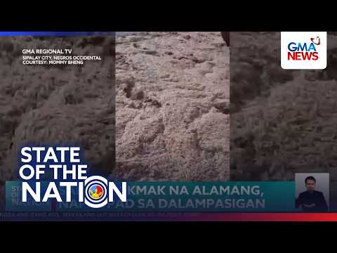 Sandamakmak na alamang, napadpad sa dalampasigan | SONA
