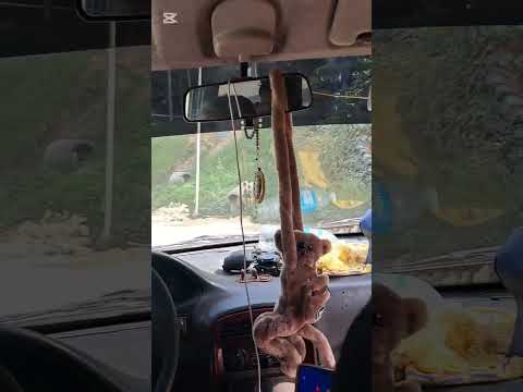 #man made forest at #Loboc bohol