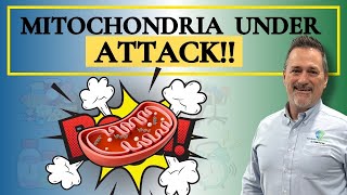 Mitochondrial Dysfunction: The Hidden Root of Chronic Illness & Fatigue