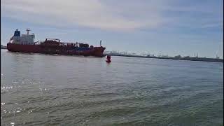 Podcast: Zicht op zeebaars nr12