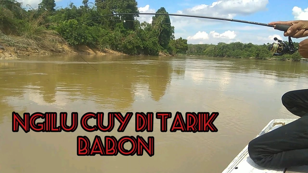 TARIKAN MEMATIKAN DARI SANG PREDATOR OMPONG |||| STREK ...